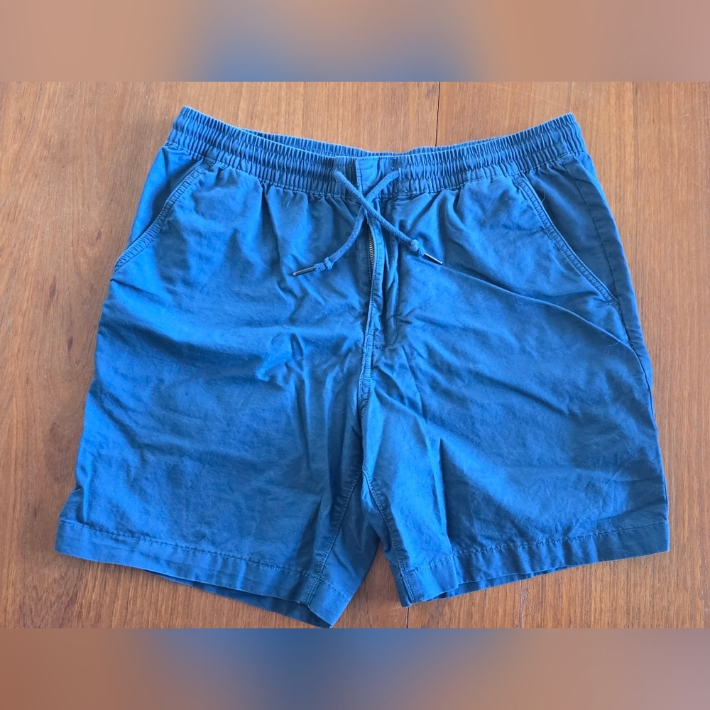 Patagonia Men's Hemp Volley Shorts